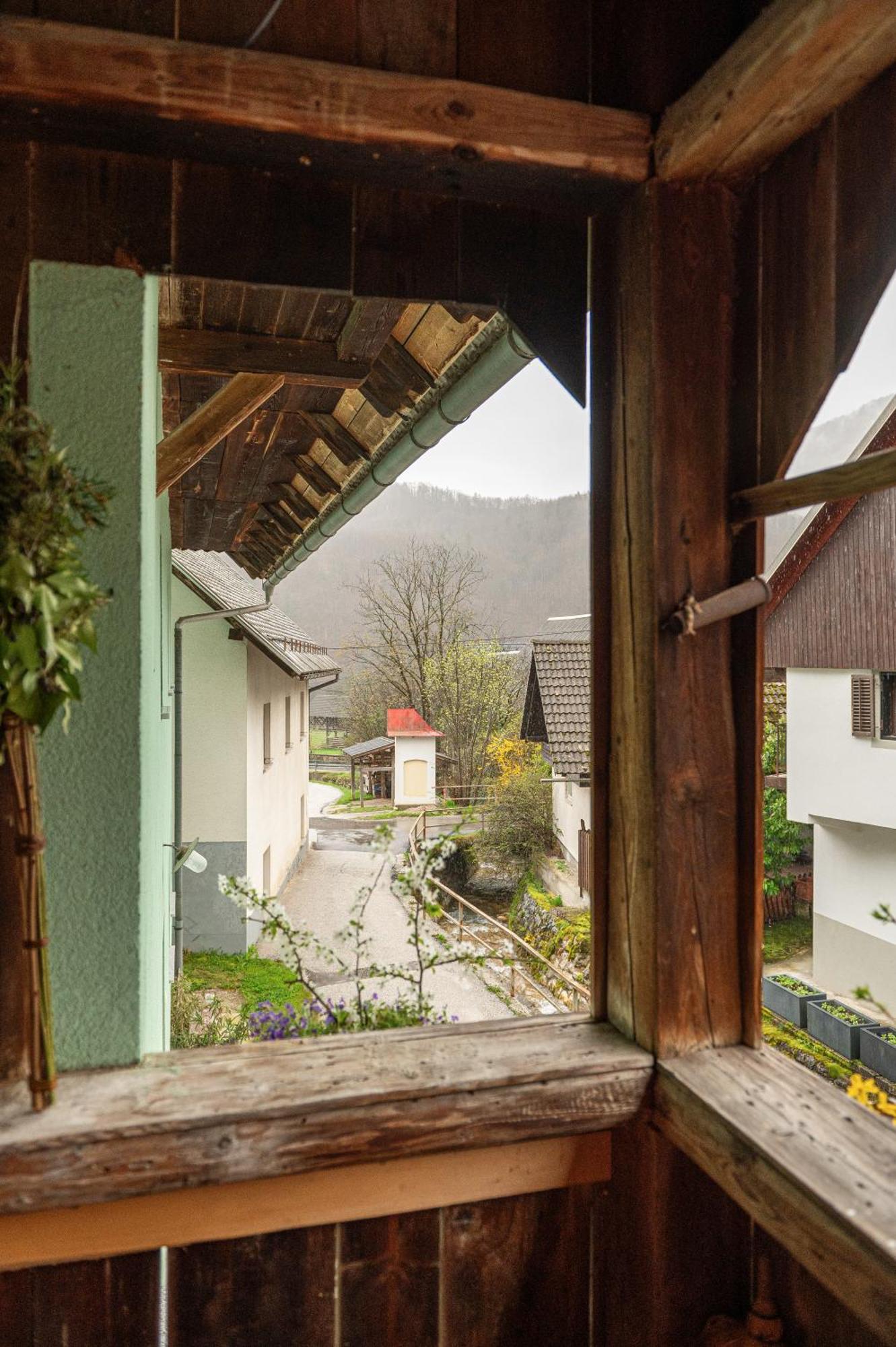 Zelena Hisa Pri Bjov Apartman Bohinjska Bela Kültér fotó