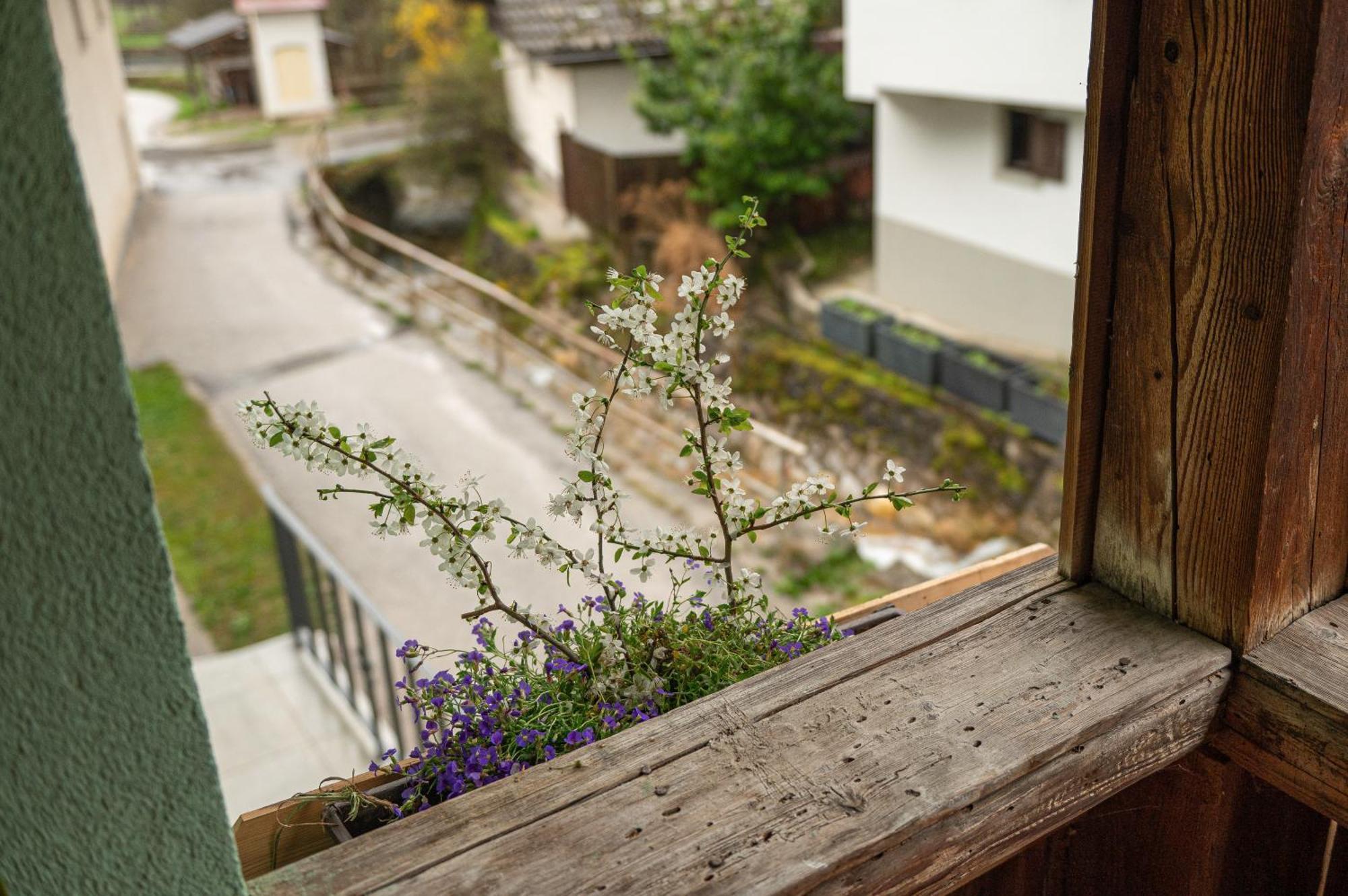Zelena Hisa Pri Bjov Apartman Bohinjska Bela Kültér fotó