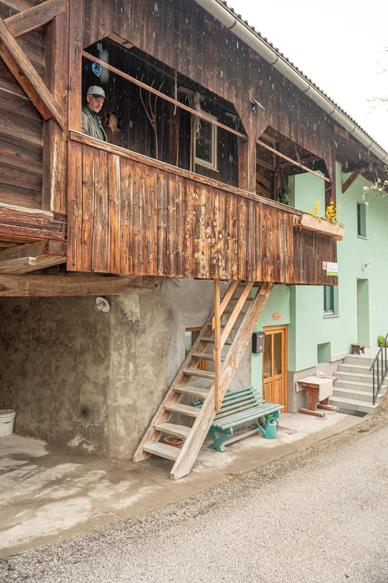 Zelena Hisa Pri Bjov Apartman Bohinjska Bela Kültér fotó