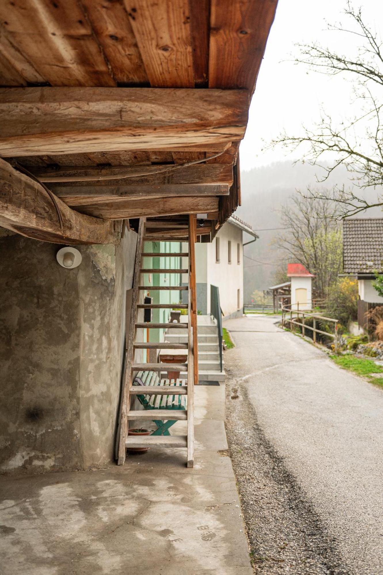 Zelena Hisa Pri Bjov Apartman Bohinjska Bela Kültér fotó