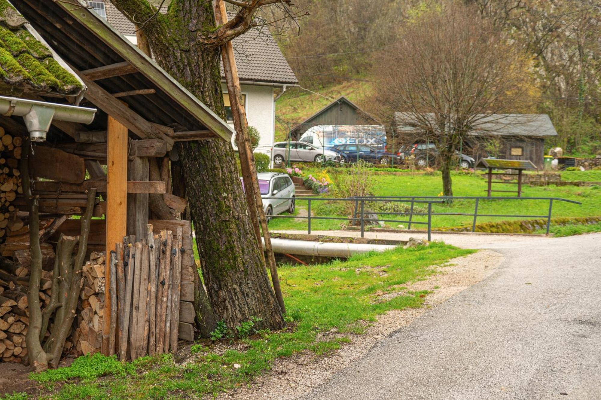 Zelena Hisa Pri Bjov Apartman Bohinjska Bela Kültér fotó