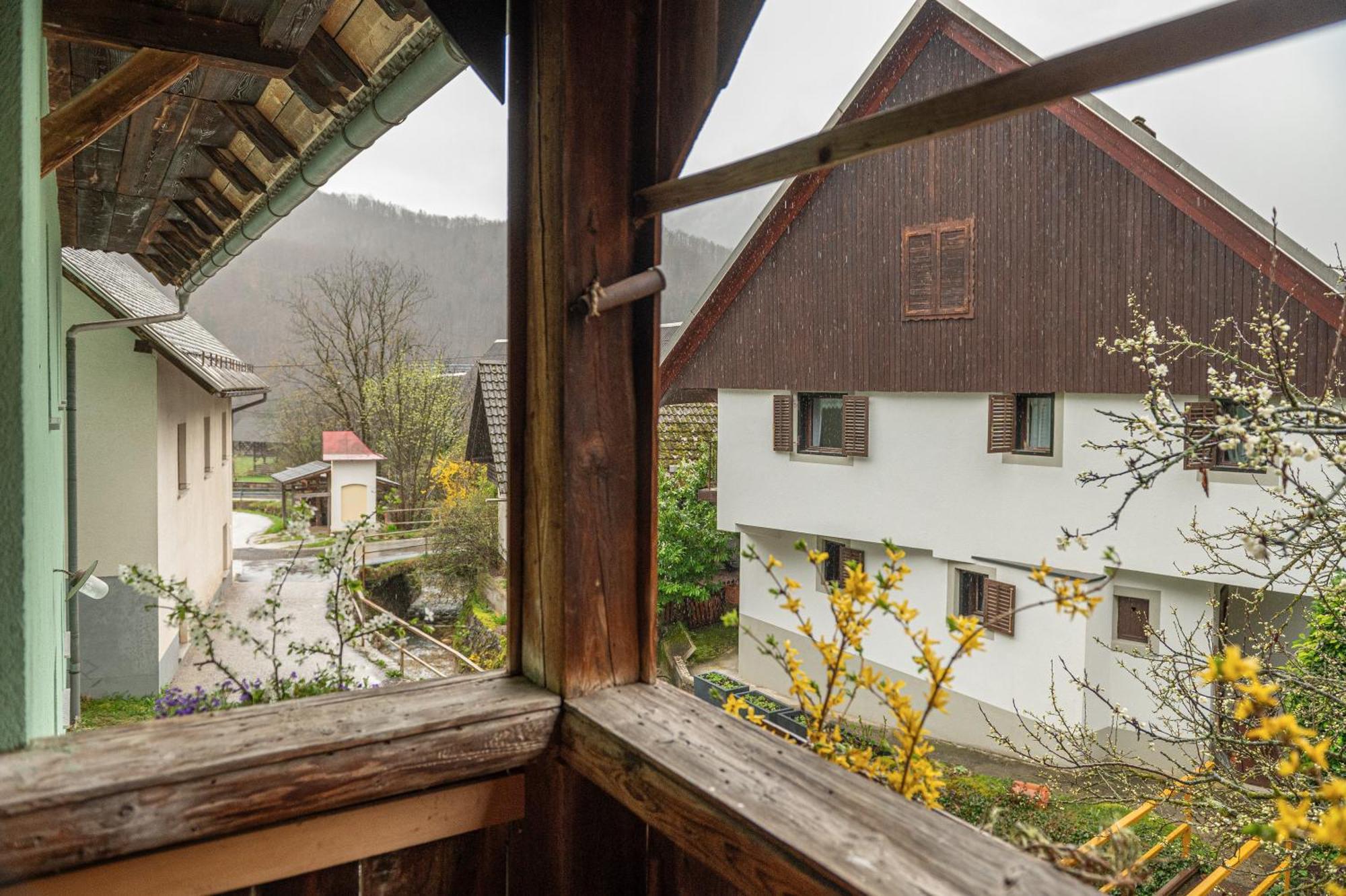 Zelena Hisa Pri Bjov Apartman Bohinjska Bela Kültér fotó